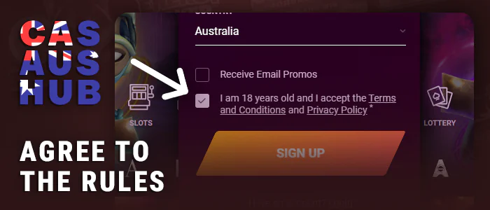 Give consent to the terms and conditions of the online roulette casino