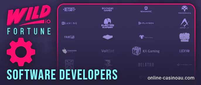 The best 50+ software developers at Wild Fortune Casino
